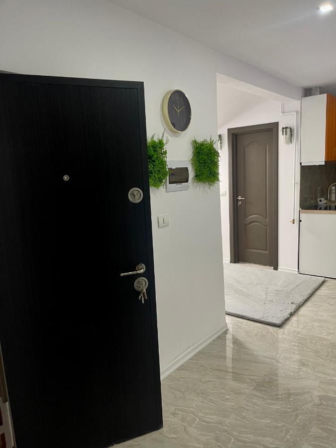 Cozy Apartament With 2Rooms Timişoara Exteriör bild